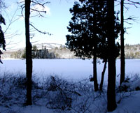 Winter at the Pond